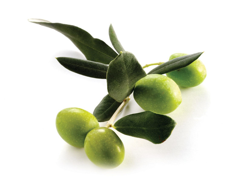 olive fruit